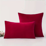 Housse de Coussin 30x50 Velours